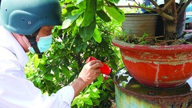 Cán bộ y tế dự phòng kiểm tra lăng quăng tại các điểm nguy cơ