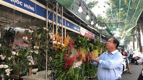 Khai mạc Tuần lễ sinh vật cảnh TPHCM