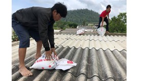 Các doanh nghiệp ở Quảng Ngãi xem xét cho người lao động tạm thời nghỉ việc từ ngày 28 đến 29-10