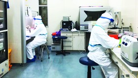 Việt Nam nuôi cấy và phân lập thành công chủng mới của virus Corona