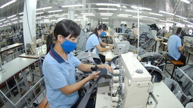 Chuyển đổi thị trường để duy trì sản xuất