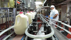 Việc hình thành nhà máy chế biến nông sản giúp nông nghiệp phát triển ổn định hơn