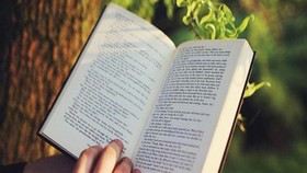 Đừng để nhà văn phải đi đòi nhuận bút