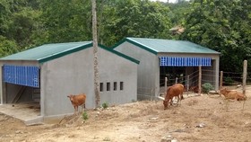 Khởi tố 4 bị can liên quan đề án về đồng bào dân tộc