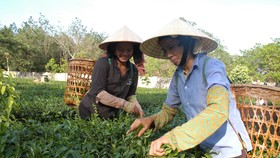 Chủ động nắm bắt xu thế mới trong thời kinh tế số