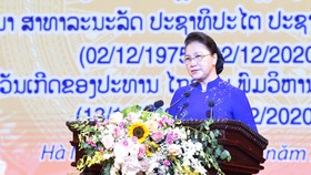 Tình cảm thủy chung, son sắt Việt - Lào ngày càng được củng cố