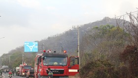Cháy rừng ở núi Minh Đạm, tỉnh Bà Rịa - Vũng Tàu