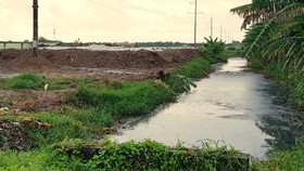 Khu vực cạnh nhà máy xử lý nước thải tập trung tại KCN An Nghiệp, tỉnh Sóc Trăng. Ảnh: TUẤN QUANG