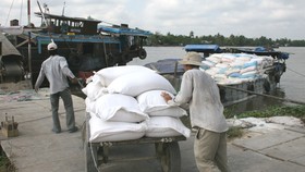 Ngăn chặn, xử lý nghiêm nạn buôn lậu khẩu trang và gạo qua biên giới