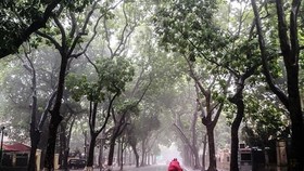 Miền Bắc vừa hửng nắng lại sắp mưa gió