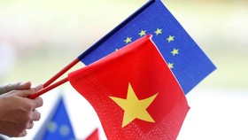 Sẵn sàng hồ sơ trình Quốc hội phê chuẩn EVFTA