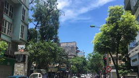 Xuất hiện đợt tia cực tím cực đại ở Việt Nam
