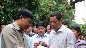 Gỡ khó để trái nhãn của Việt Nam dễ dàng xuất khẩu