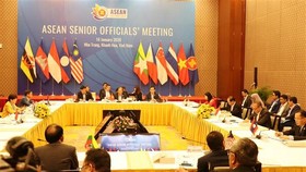 At the meeting (Photo: VNA)