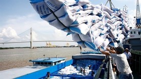 Rice is loaded at Saigon Port in HCMC (Source: VNA)