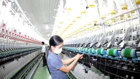 Illustrative image (Photo: SGGP)