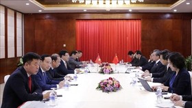 At the meeting between Vietnamese Deputy Prime Minister and Foreign Minister Pham Binh Minh and Chinese State Councilor and Foreign Minister Wang Yi (Photo: VNA)