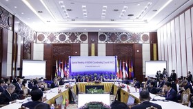 At the meeting (Photo: VNA)