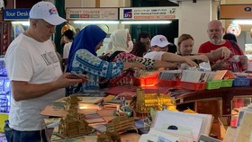 Visitors in HCMC expressed little concern over Covid-19 epidemic
