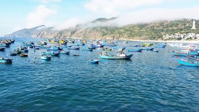 Boats are always ready to sail as soon as there is news of large schools of fish off the coast.