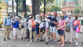 Foreign visitors to HCMC (Photo: SGGP)