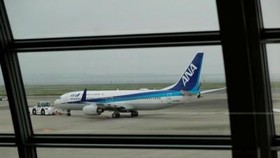 An aircraft of ANA (Photo: internet)