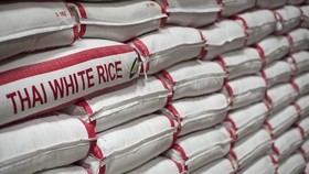 Thailand's rice exports are forecast to drop to 6.5 million tonnes this year (Photo: AFP)
