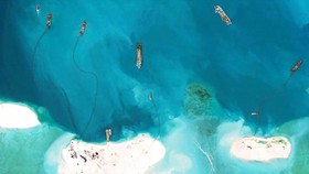 East Sea disputes should be solved based on international laws: Ukrainian schola