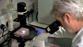 Thêm nỗ lực phát triển vaccine ngừa Covid-19