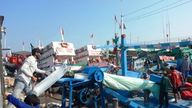 Dù chịu ảnh hưởng của dịch Covid-19, nhưng ngư dân Bình Thuận vẫn kiên cường bám biển