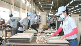 Sản xuất gỗ tại Công ty Kaiser Việt Nam, Khu công nghiệp Mỹ Phước, thị xã Bến Cát, Bình Dương