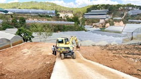 Đường bê tông trái phép (hẻm Cam Ly, phường 5, TP Đà Lạt) tại khu vực đất nông nghiệp thuần túy