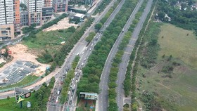 Cây xanh trồng trên đường tại TPHCM có tán không quá rộng và độ cao vừa phải tránh trường hợp cây ngã đổ gây tai nạn (Ảnh cây xanh trên đường Mai Chí Thọ). Ảnh: CAO THĂNG