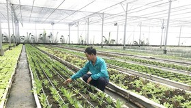 Đề nghị được xây dựng công trình phục vụ nông nghiệp trên đất trống