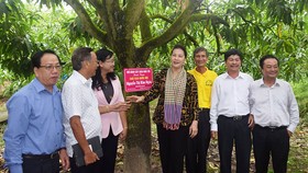 Khởi sắc nông thôn mới