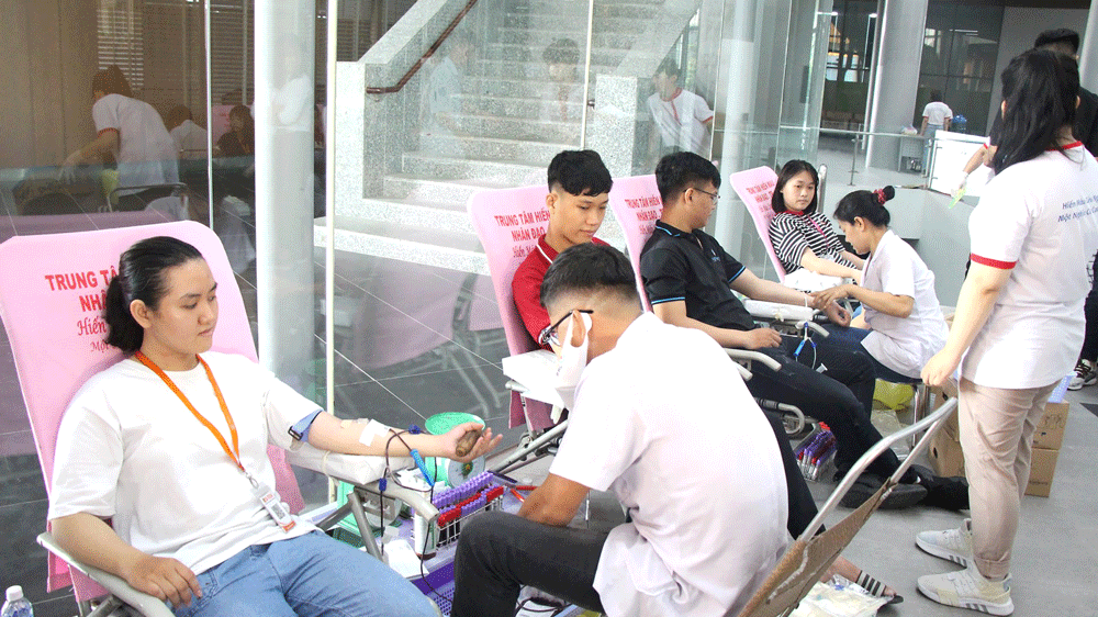 Sinh viên với ngày hội hiến máu