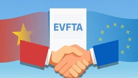 Phê duyệt kế hoạch thực hiện EVFTA