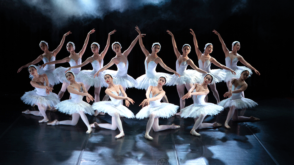 Dừng lưu diễn xuyên Việt vở ballet Hồ Thiên Nga