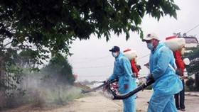 Hơn 26.800 người mắc, tử vong do sốt xuất huyết và virus Zika