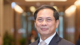 Thứ trưởng thường trực Bộ Ngoại giao Bùi Thanh Sơn. Ảnh: VIẾT CHUNG