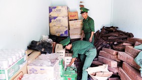 Bộ đội biên phòng Quảng Trị liên tục bắt giữ hàng loạt vụ buôn lậu Ảnh: NGUYỄN HOÀNG