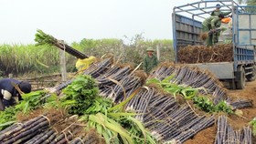 Thay đổi để tồn tại