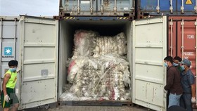 Quyết không trở thành thùng rác thế giới