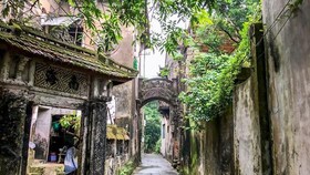 Đường làng Cự Phú