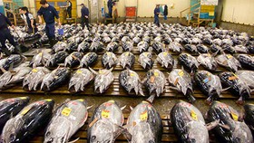 Philippines muốn WB hỗ trợ phát triển ngành thủy hải sản
