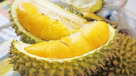 Sầu riêng Cái Mơn được cấp chỉ dẫn địa lý