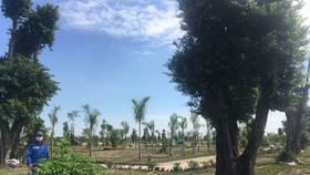 Công viên được xây dựng tại khu nhà ở Phú Quang