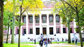 Trường Đại học Harvard