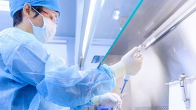 Việt Nam phát hiện thêm 6 trường hợp mắc Covid-19