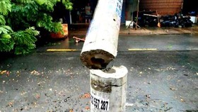 EVN phản hồi nghi vấn “cột điện không có cốt sắt”